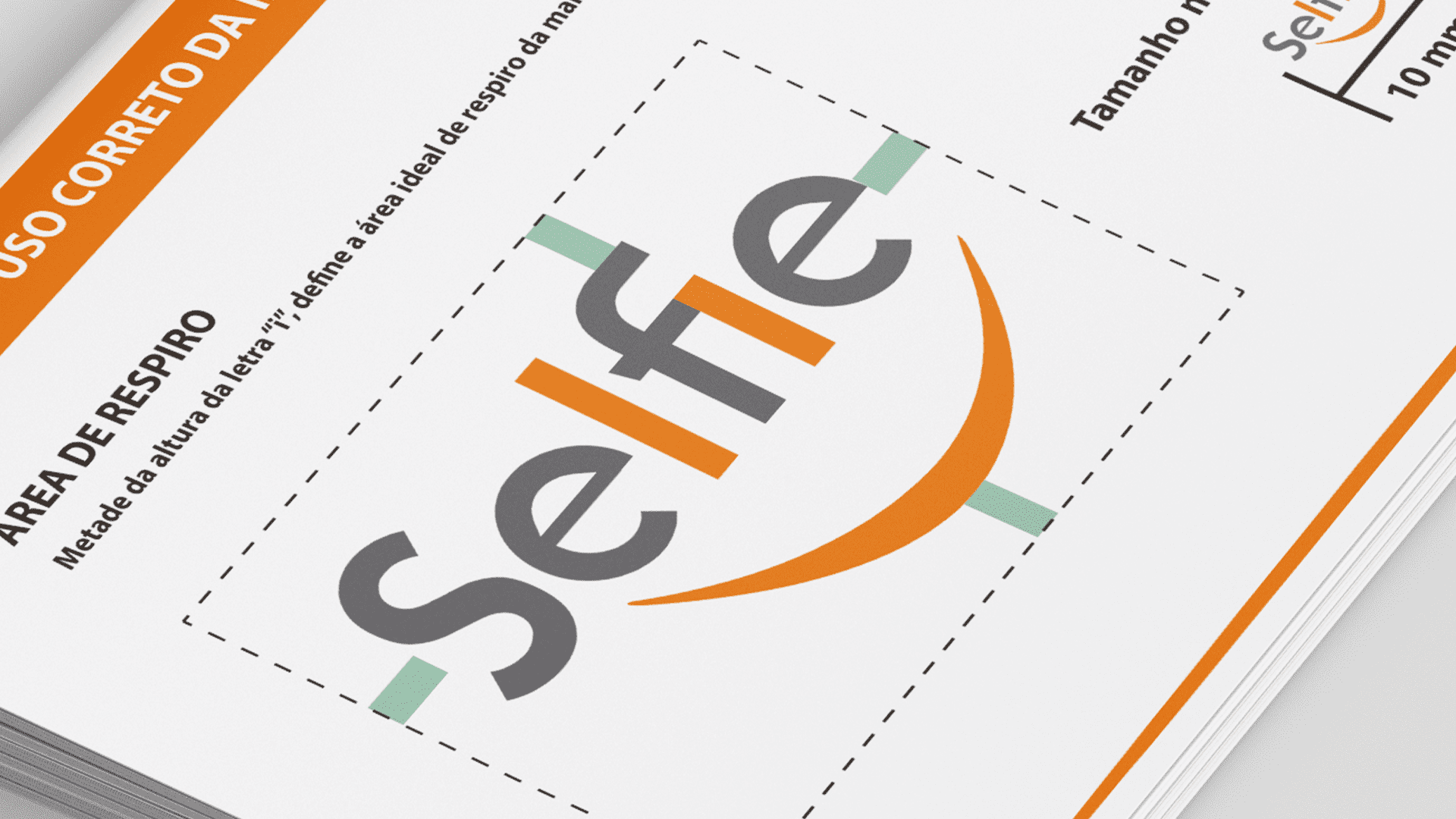 Manual de Identidade Visual - Selfie